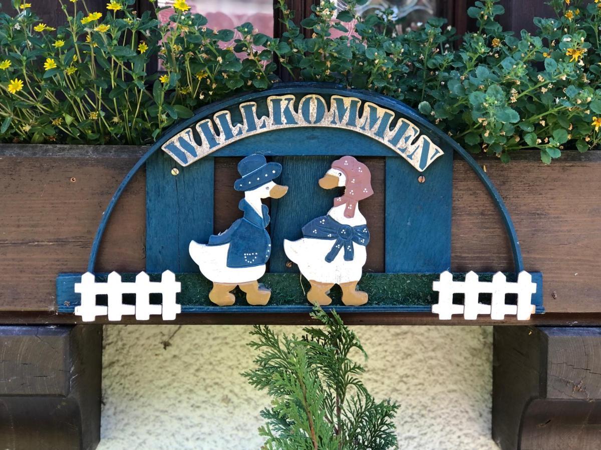Gaestehaus Lickert Ferienwohnung Sued Feldberg Hinterzarten Exterior foto
